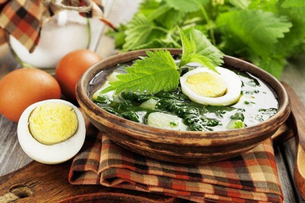 Зеленые борщи с щавелем — вкусные рецепты