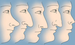 Физиогномика: как читать человека по лицу с картинками